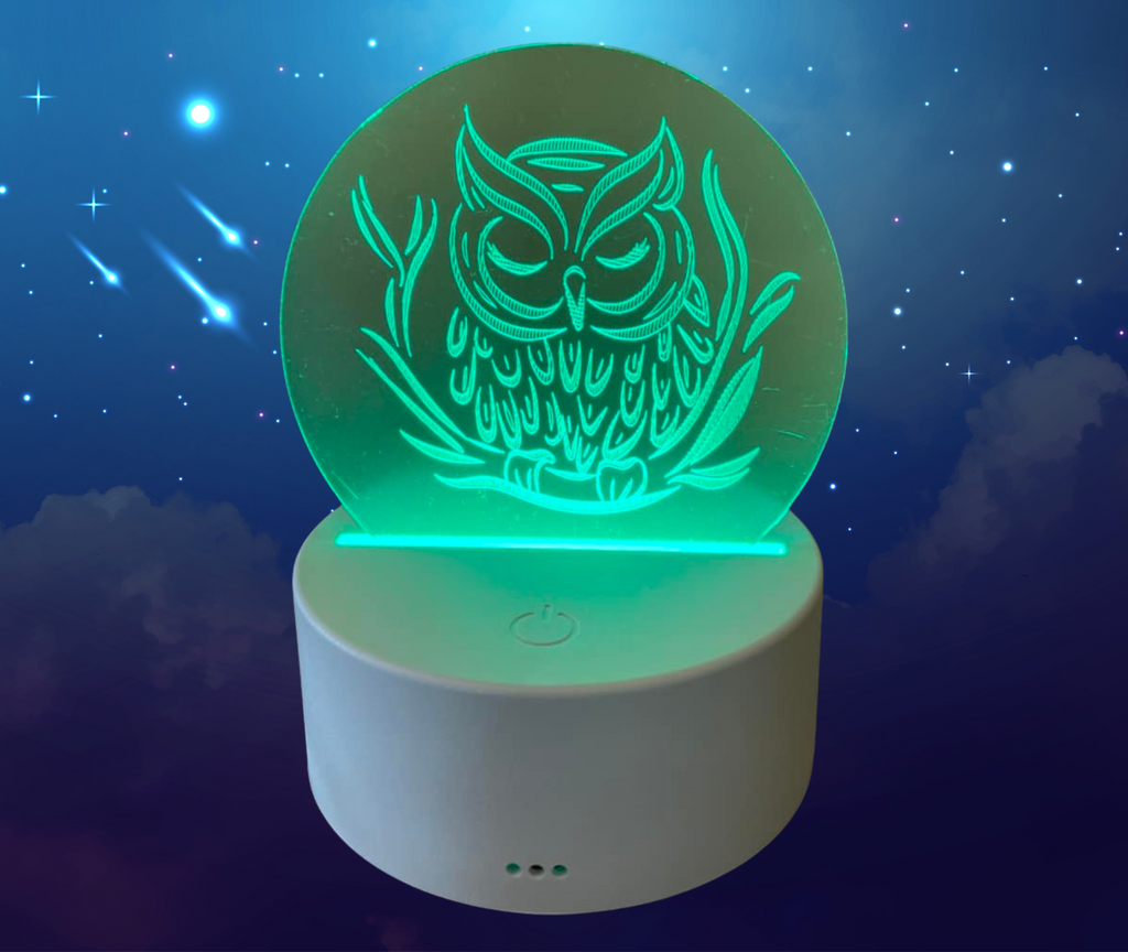 Child Wise Owl LED Nightlight
