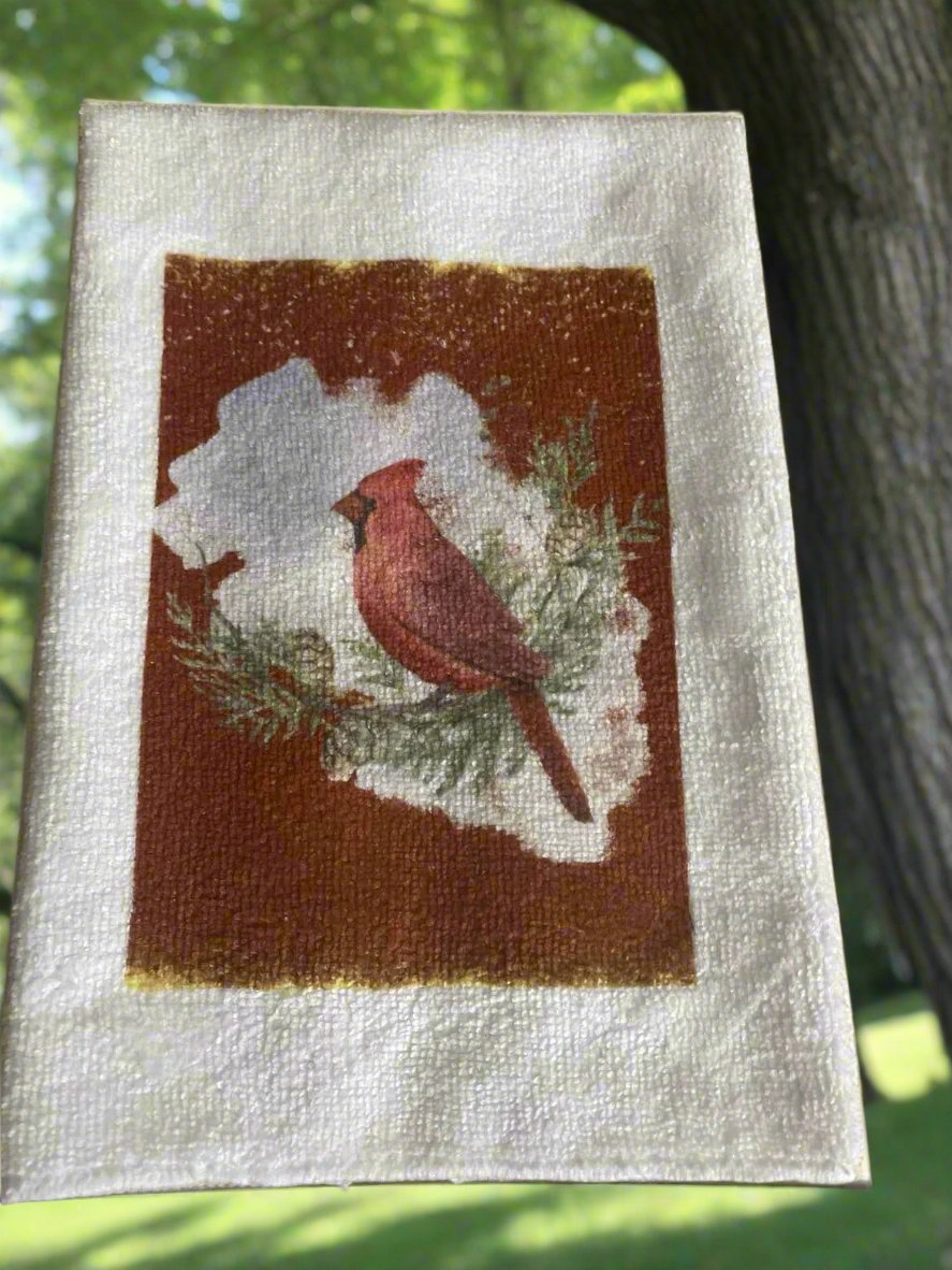 Cardinal Microfiber Dish Towel