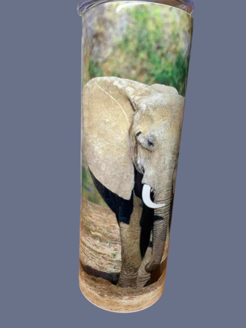 Elephant 20 oz Tumblers